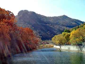 新澳天天开奖资料大全旅游团，恐怖照片